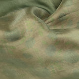 Fern Green Organza Flip Saree