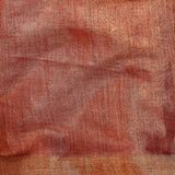 Sequinned tissue saree