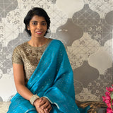 Silk sequinned saree