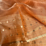 Metallic handwoven organza saree