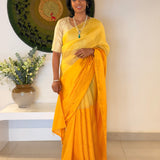Mishrita Colour Blocked Organza Saree