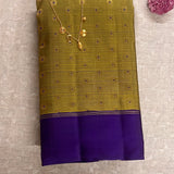 Meera Kanchipuram Silk Saree