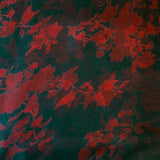 Mishrita Bloomrush Organza saree