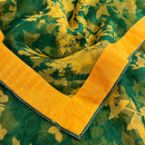Mishrita Mariglow Organza saree