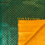 Meera meenakari kanchipuram silk saree