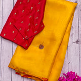 Mishrita organza saree with kanchi silk pallu