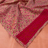 Mishrita organza saree with kanchi silk pallu