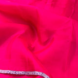 Mishrita organza saree with kanchi silk pallu