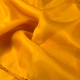 Mishrita organza saree with kanchi silk pallu
