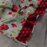 Mishrita organza saree with kanchi silk pallu
