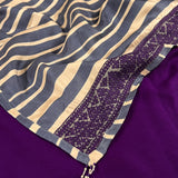 Mishrita chiffon saree with kanchi silk pallu