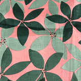 Mishrita chiffon saree with kanchi silk pallu