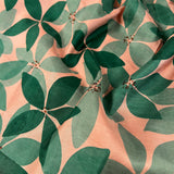 Mila parijath kanchipuram silk saree