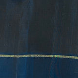 Vera twin border kanchipuram silk saree