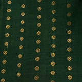 Veldhari Kanchi silk saree