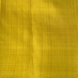 Alani striped kanchipuram silk saree